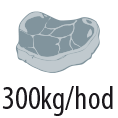 ico_300KG.webp