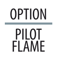 ico_P-FLAME.webp