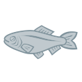 ico_fish.webp
