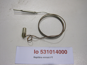 Capillary minisit FT