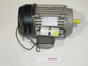 PSP 100 and 300 220V motor