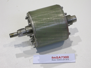 Motor rotor for S12