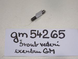 GM eccentric guide bolt