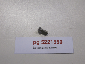 Door hinge screw P9