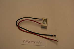 RC member of Filtana on the rail