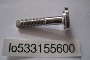 Water level probe CP-G, BMD