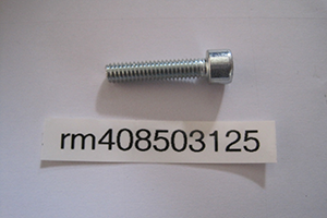 Pizza oven door hinge screw E 8/50